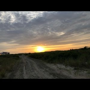 Meet your Posher, Holli